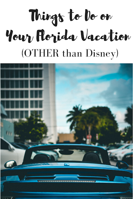 Things to Do on Your Florida Vacation (Other than Disney) 