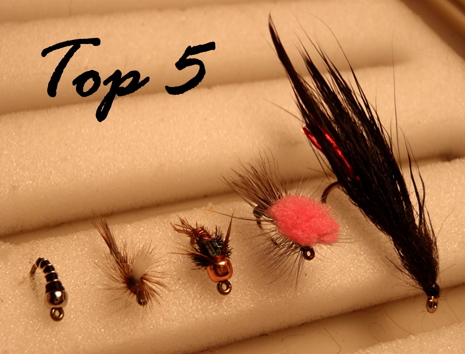 Colorado Fly Fishing Reports: Best 5 Flies for Boulder Creek