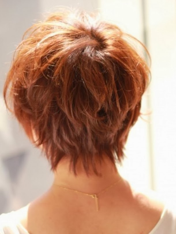 Short Hair From The Back View