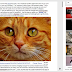 An Excellent Google Docs Add-on to Search and Insert Free Images in Your Documents