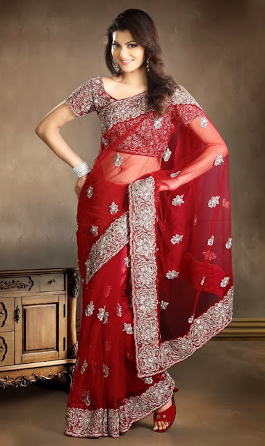 Fascinating Brick Red Net Embroidered Saree