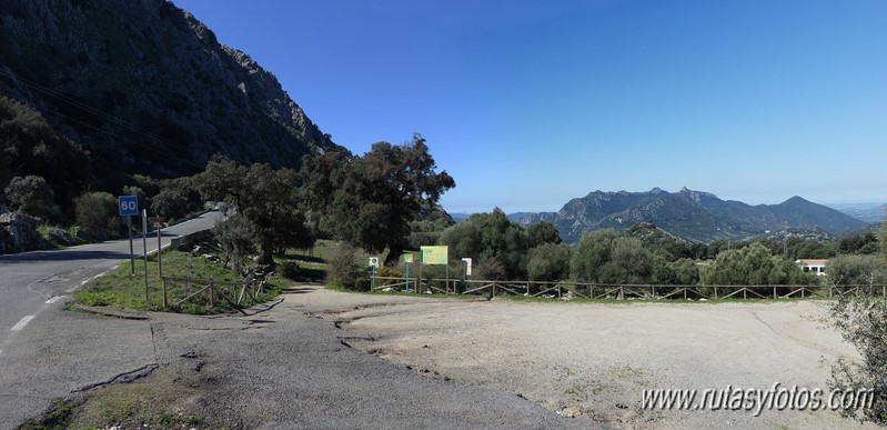 El Cintillo - Sierra Baja de Ubrique - Paso del Bombo - Ubrique - Cañada de los Pernales