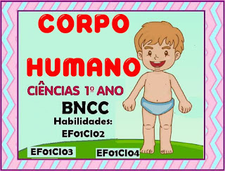 corpo humano na educação infantil