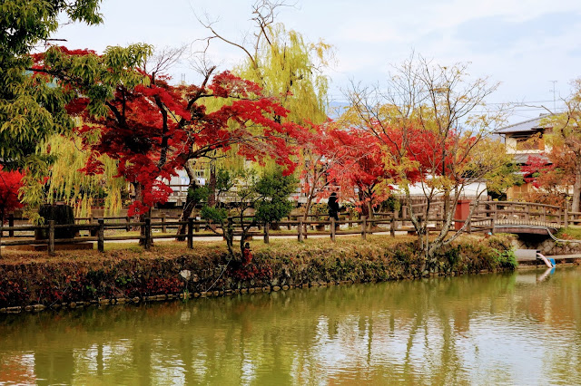 京都 長岡天満宮 紅葉