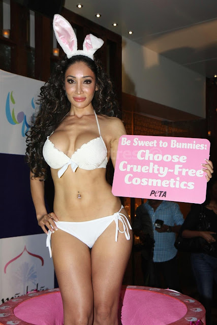 Sofia Hayat Latest Hot Bikini Photos in public