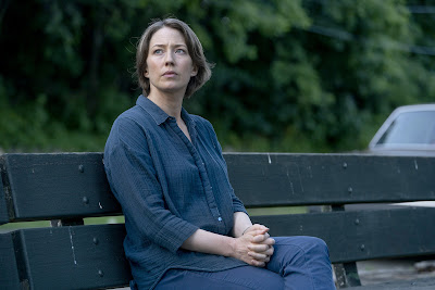 The Sinner Series Carrie Coon