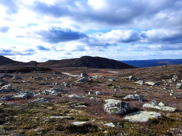 sørbølfjellet