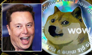 Why You should NOT BUY DOGECOIN? Why is Elon Musk related to it?