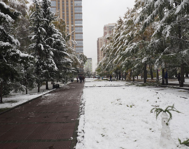 Новосибирск, Нарымский сквер - снежная осень