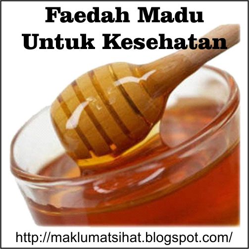 Kebaikan Madu Untuk Kesihatan