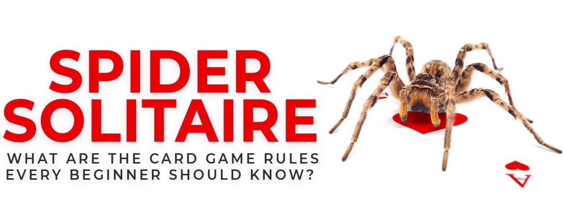 Spider Solitaire Card Game