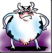 mad_cow_cartoon-thumb