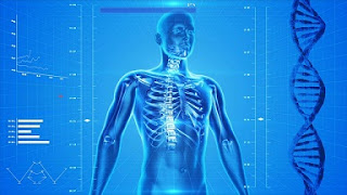 Menjaga Tulang dari Timbulnya Osteoporosis