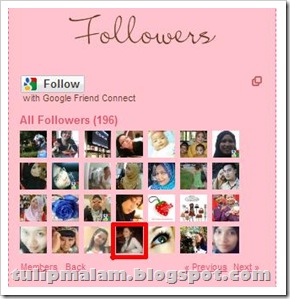 Follower