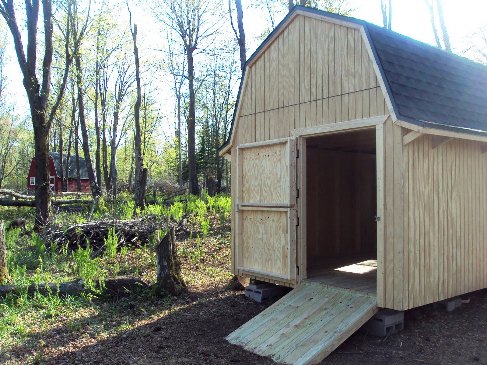 Homestead  From Scratch: New Ram Shed