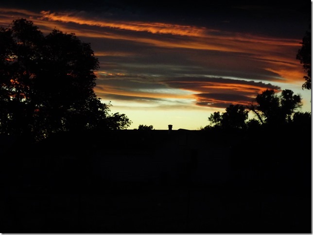 DSCF6542
