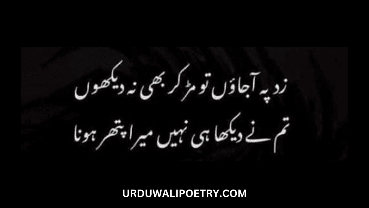 Attitude Poetry in Urdu 2 lines for Boy sms | Killer attitude poetry in Urdu 2 lines for boy sms