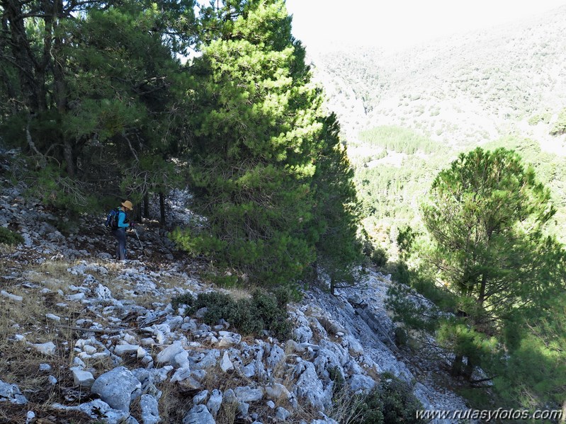 Aguilón del Loco