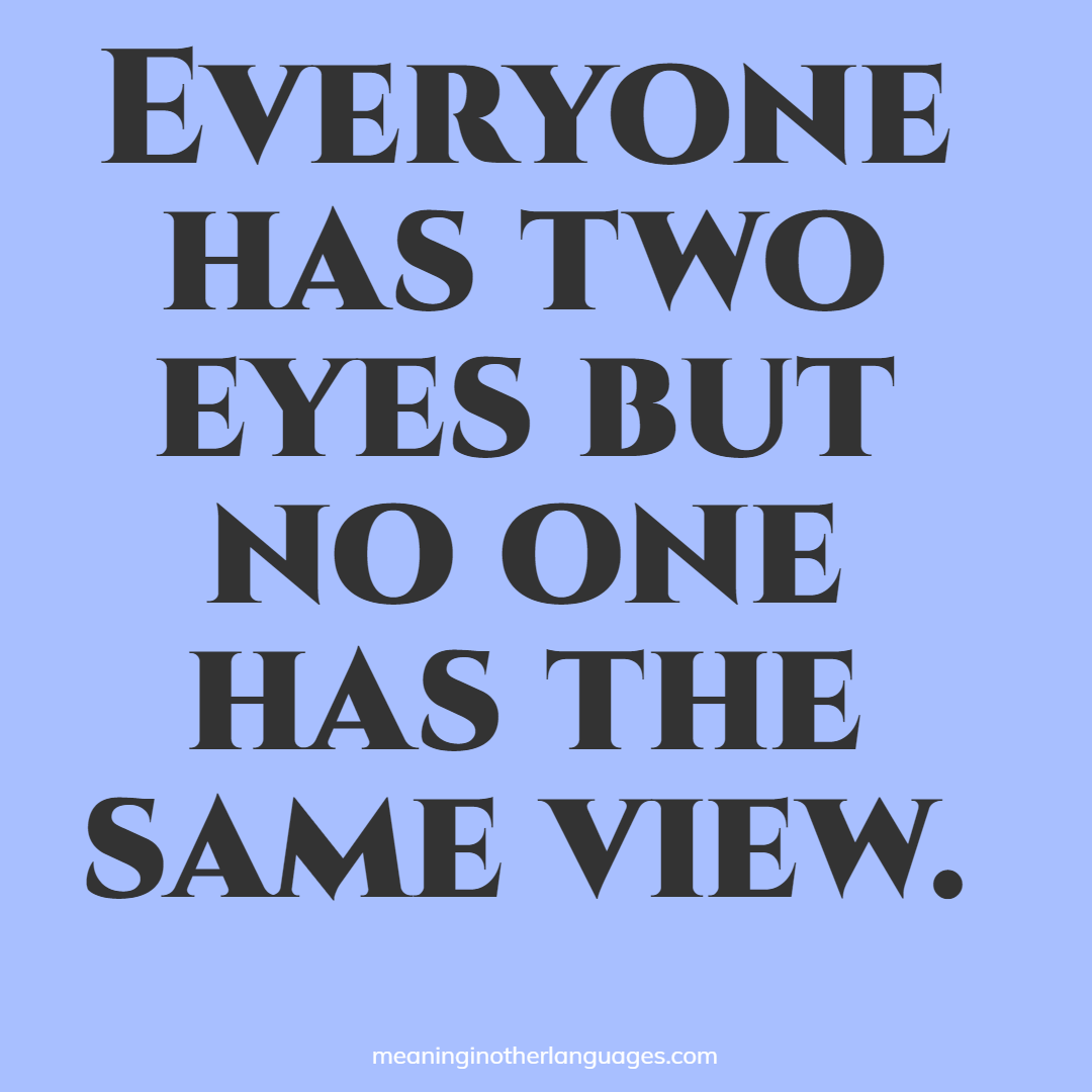 Everyone has two eyes but no one has the same view.