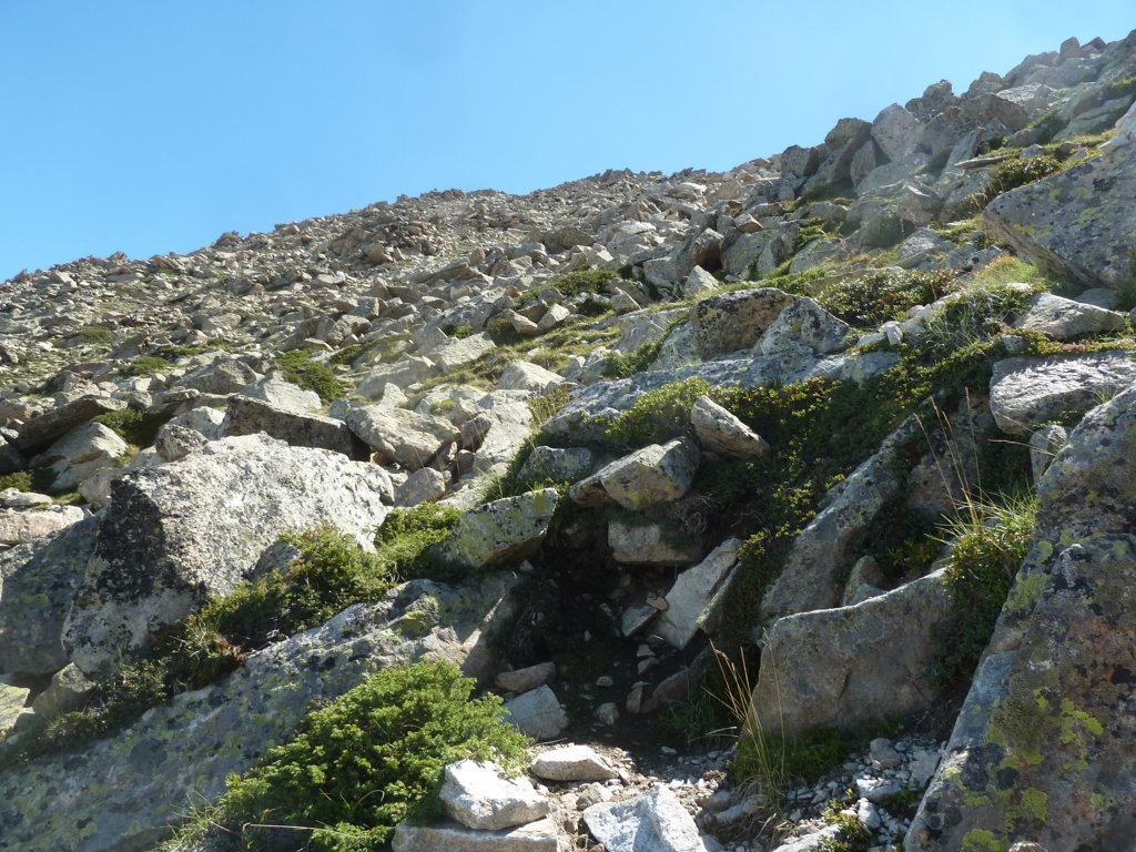 ARDIDEN, 2.988m (Un coloso bien protegido) P1230816%20%28FILEminimizer%29