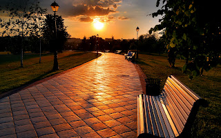 Bench in Park Sunset Psuperography HD Wallpaper