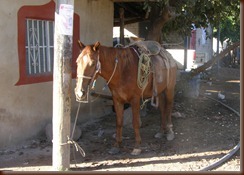P1100002