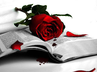 Dark Love With Red Rose And Blood HD Wallpaper