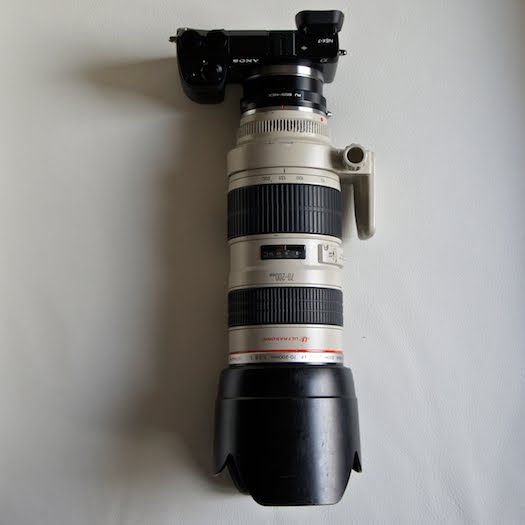 sony nex-7 canon 70-200mm ef eos