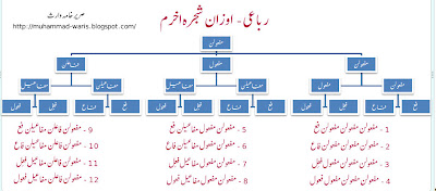 urdu poetry, urdu ghazal, ilm-e-arooz, taqtee, رباعی اوزان شجرہ اخرم, Rubai