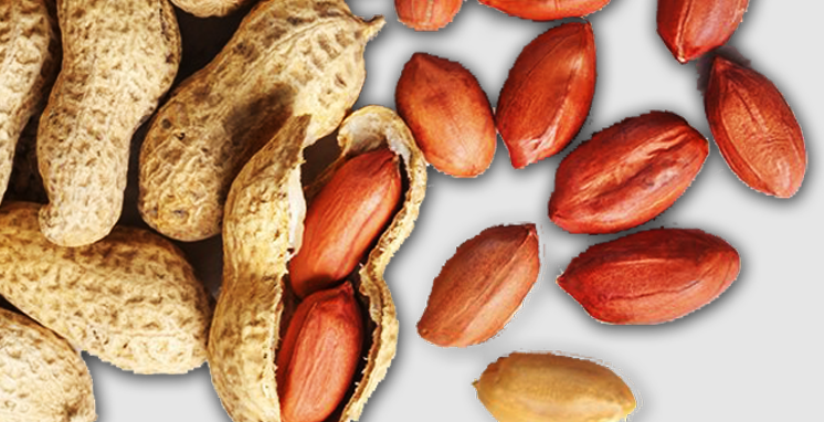 Comer amendoim pode prevenir inflamação, depressão e doenças cardiovasculares