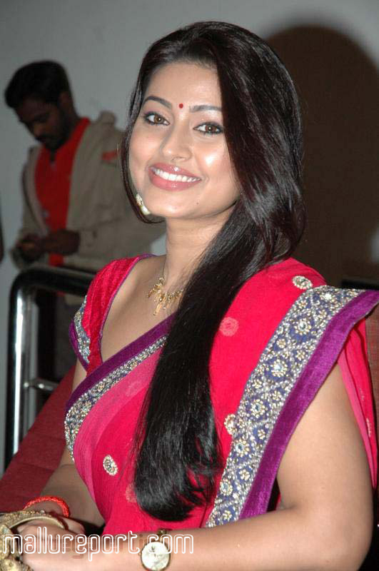 south indian sexy actress sneha in sexy and hot in saree showing navel