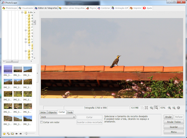  Foto cortada para 16x9 com PhotoScape