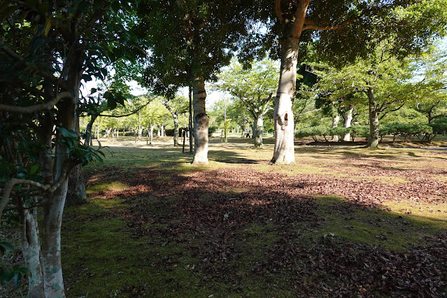 鳥取県米子市西町　湊山公園