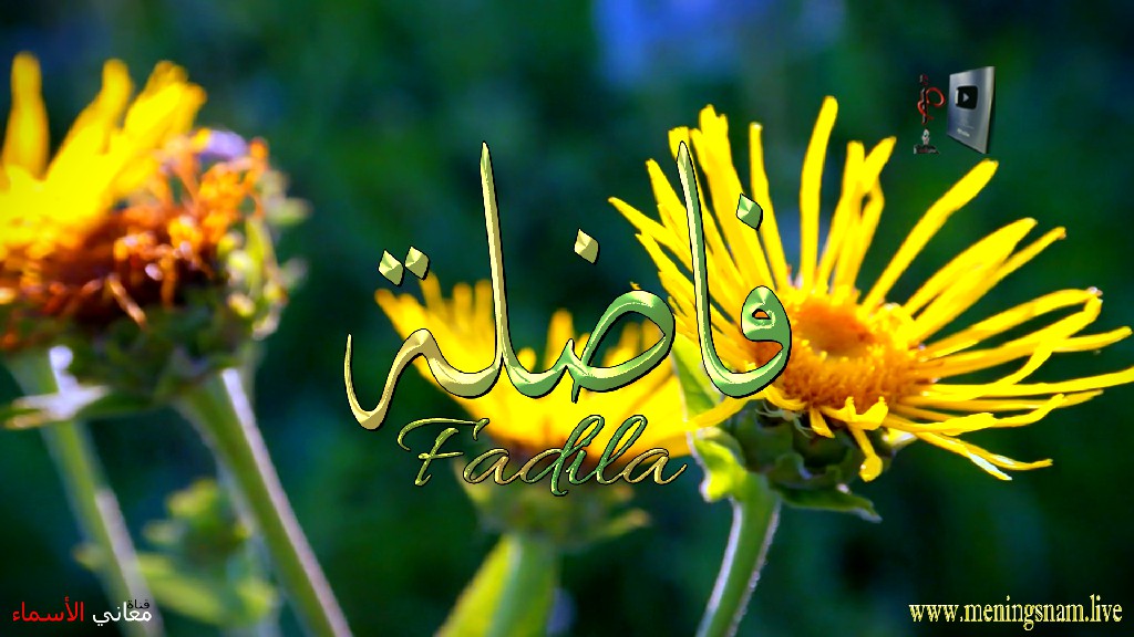 معنى اسم, فاضلة, وصفات, حاملة, هذا الاسم, Fadila,