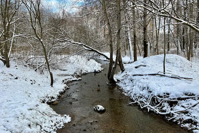 Косинский парк, река Руднёвка