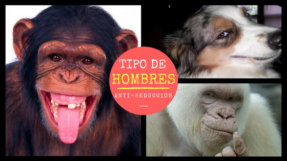 Tipos de hombre anti seduccion