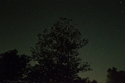 Bhandardara Fireflies Camping by Mischief Treks Mumbai