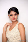 lover movie actress riddhi kumar hd photos