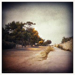 A deserted road in the middle of nowhere