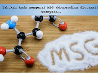 Tahukah Anda mengenai MSG (Monosodium Glutamat)? Ternyata….