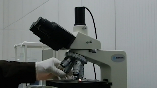 avaliação microscópica do lodo ativado microscopia do lodo ativado