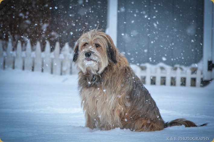 winter scene (1 of 1)-5