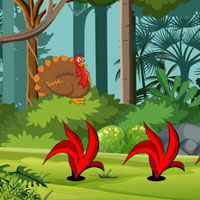 Play BIG Escape Find The Turke…