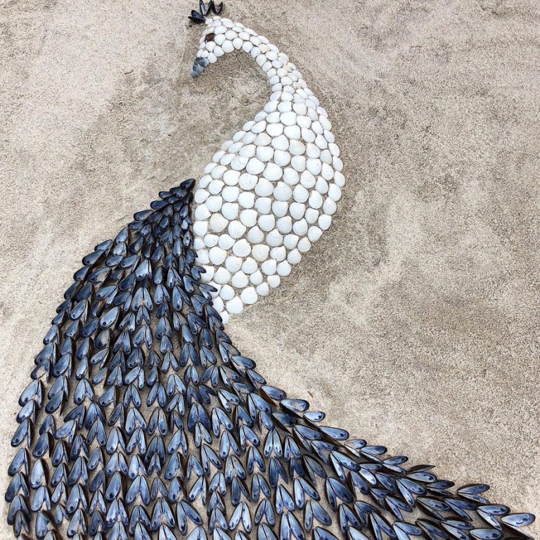 seashell sculptures