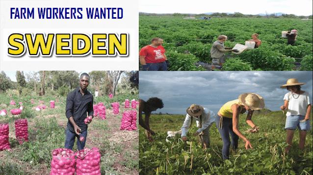 Sweden Farm Workers