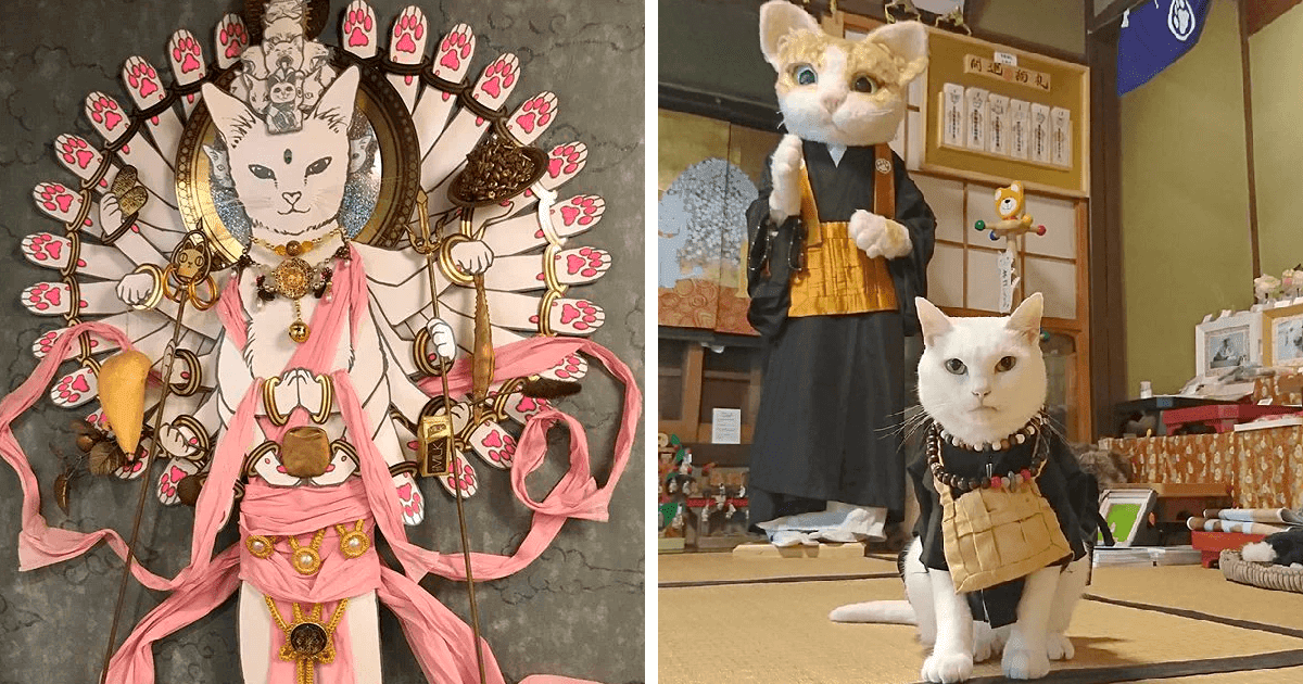 There Is A Japanese Cat Shrine, And Its Monks Are Adorable