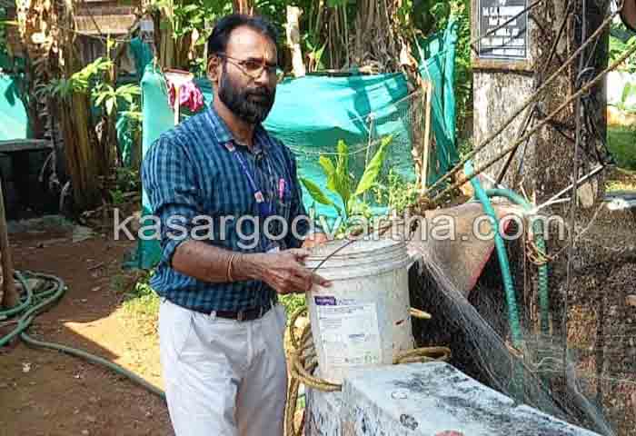 News, Kerala, Kasaragod, Cleaning of public wells: Health department started action in Kumbala.
