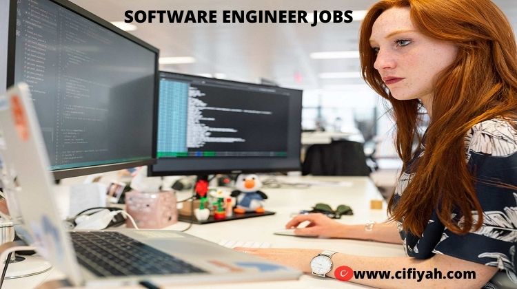 software developer job