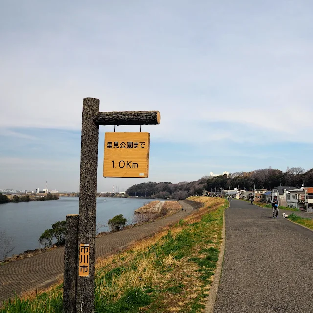 江戸川　市川