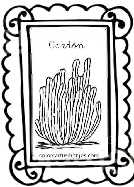 Colorear dibujo  Cardón